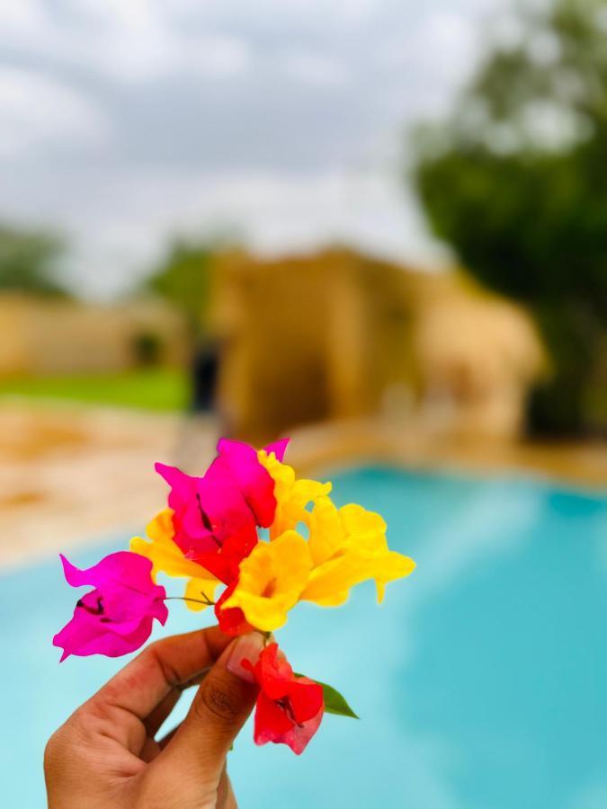 Hotel Golden Safari Jaisalmer Extérieur photo